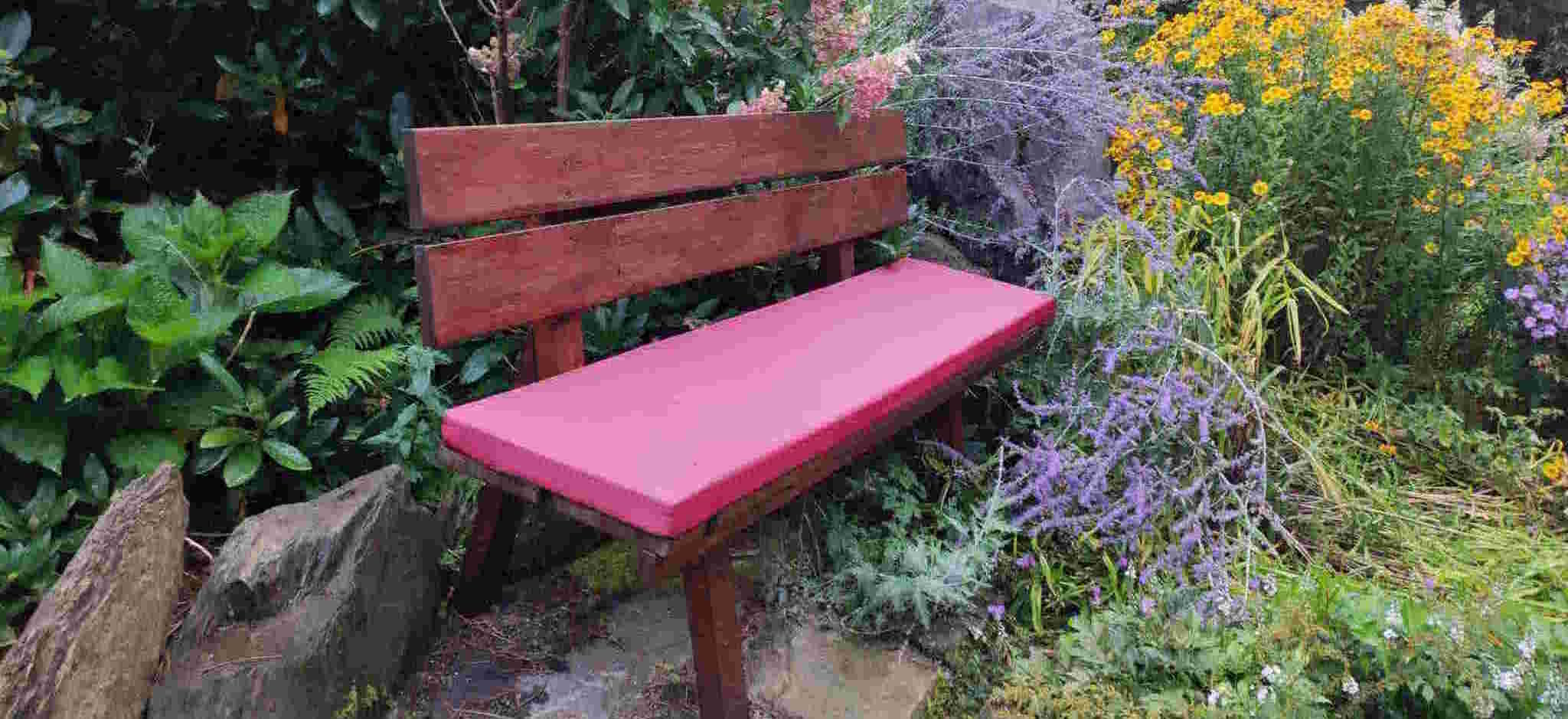 mittlere Bank mit rotem Sitzkissen zwischen Gewächsen stehend